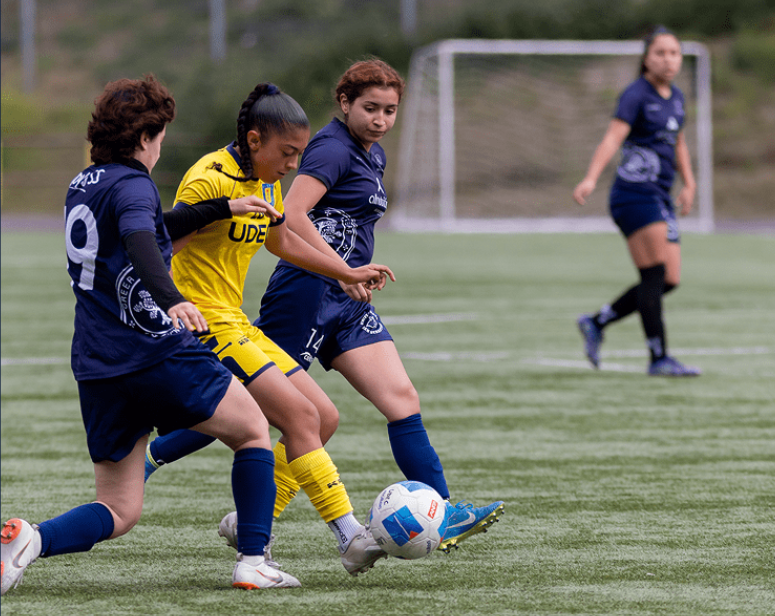 Talleres deportivos